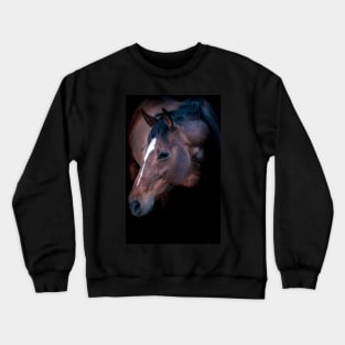 Champion Mare Crewneck Sweatshirt